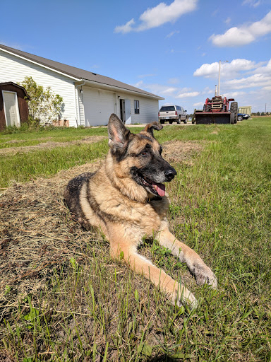 Tri-County Veterinary Clinic image