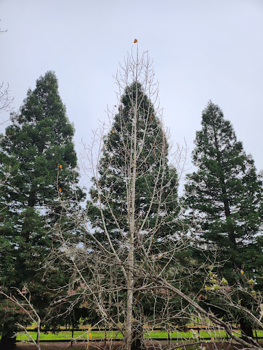 Riverfront Regional Park image