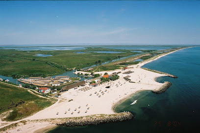 Pensiuni delta dunarii