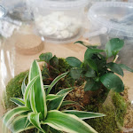 Photo n° 7 de l'avis de Stessie. fait le 01/04/2023 à 12:03 pour Boby la Plante à Paris