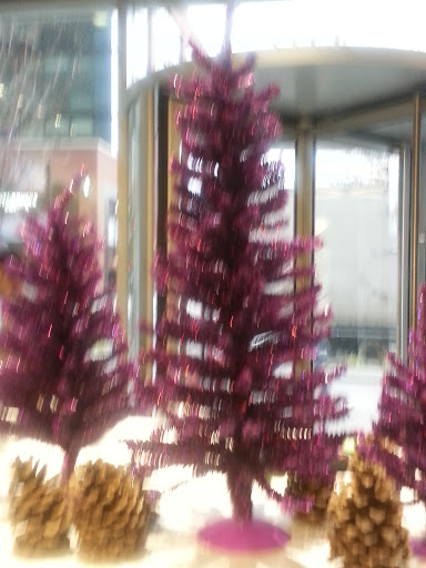 Coffee Shop «Intelligentsia Coffee Old Town Coffeebar», reviews and photos, 1233 N Wells St, Chicago, IL 60610, USA