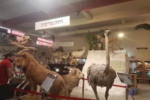 The Biblical Museum of Natural History image