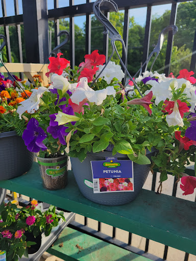 Department Store «Walmart Supercenter», reviews and photos, 2601 MacArthur Rd, Whitehall, PA 18052, USA