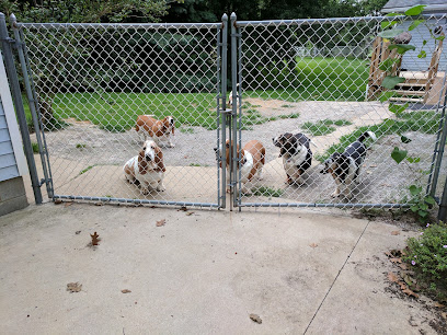 BAGS Basset Rescue