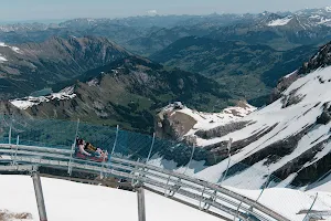 Alpine Coaster image