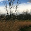 Possum Creek MetroPark