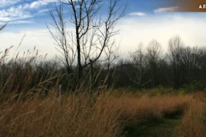 Possum Creek MetroPark image