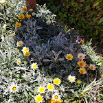 Photo n°4 de l'avis de Francia.o fait le 05/05/2021 à 12:33 sur le  Baía da Luz à Lagos