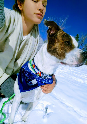 Park «Village Green Park», reviews and photos, 3590 N Carefree Cir, Colorado Springs, CO 80917, USA