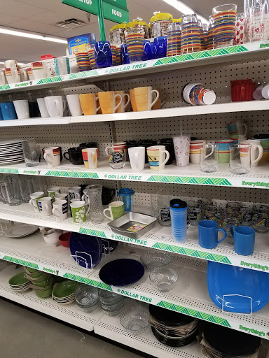 Dollar Store «Dollar Tree», reviews and photos, 4716 Highland Dr, Salt Lake City, UT 84117, USA