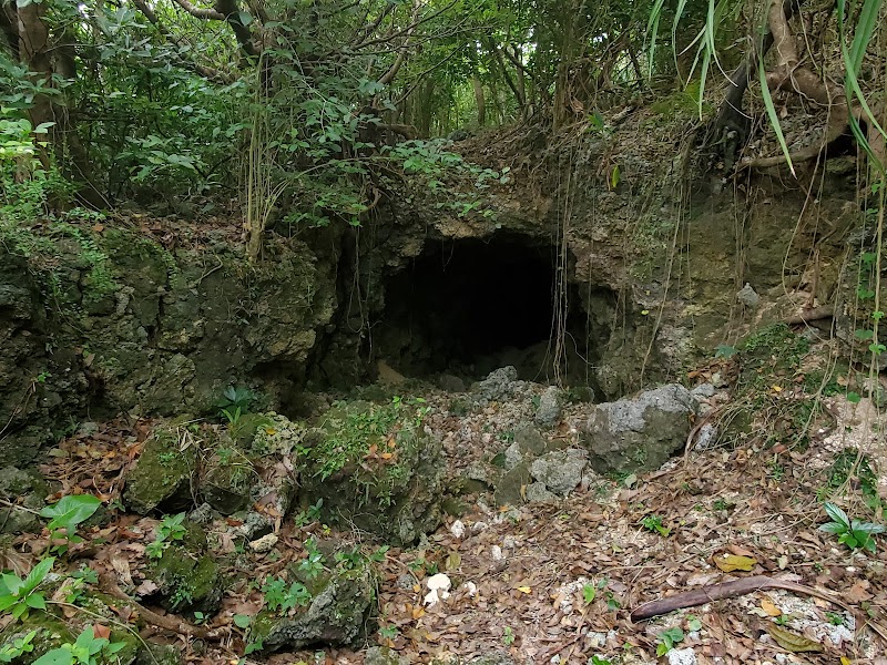 海軍特攻艇格納秘匿壕跡