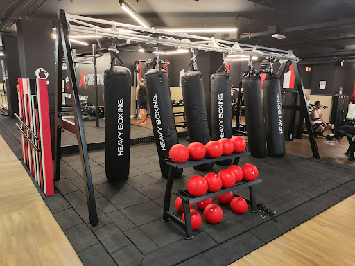 Synergym León Auditorio en León, León