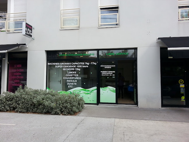 Opinii despre Laverie Girondine Bègles în Villenave-d'Ornon - Service de blanchisserie