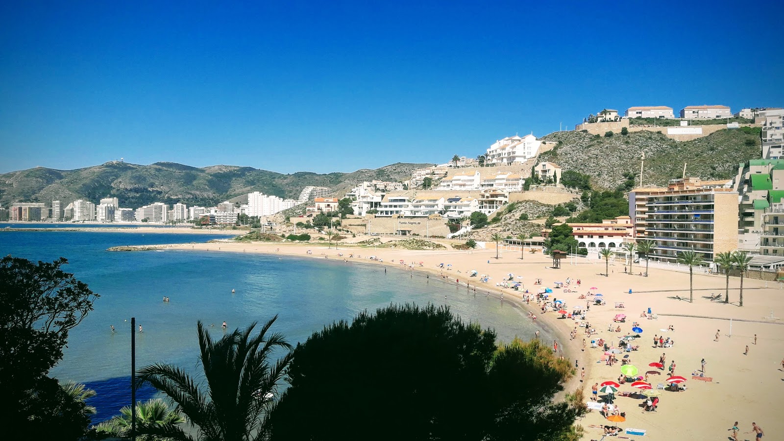 Fotografija Playa de los Olivos z zelena voda površino