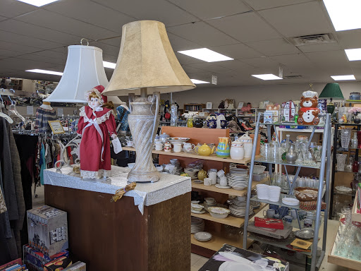 Thrift Store «Molly Mutt I Thrift Shop», reviews and photos, 2525 N Courtenay Pkwy, Merritt Island, FL 32953, USA