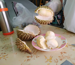 ข้าวหอม เพลงอมตะ photo
