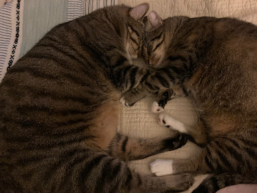 Supermarket «Hy-Vee», reviews and photos, 7620 State Line Rd, Prairie Village, KS 66208, USA