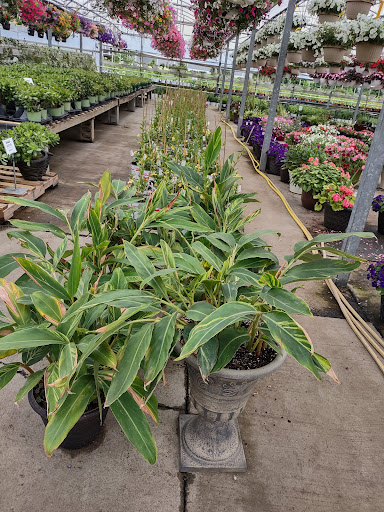 Plant Nursery «Blooming Acres», reviews and photos, 7561 State Rd, Wadsworth, OH 44281, USA