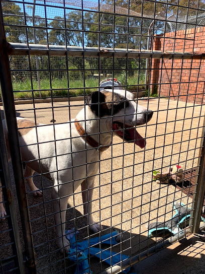 RSPCA NSW Blue Mountains Shelter