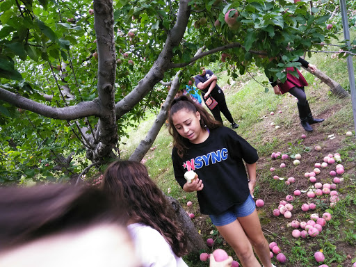 Farm «Fairmount Fruit Farm», reviews and photos, 887 Lincoln Street, Franklin, MA 02038, USA