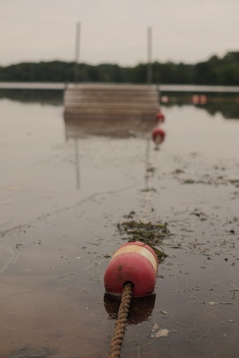 Playground «Varney Playground», reviews and photos, 45 Varney Ave, North Chelmsford, MA 01863, USA