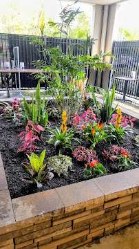 Green Touch Tree and Landscaping Services - Photo 3 - Car repair in Bellflower, CA, Long Beach