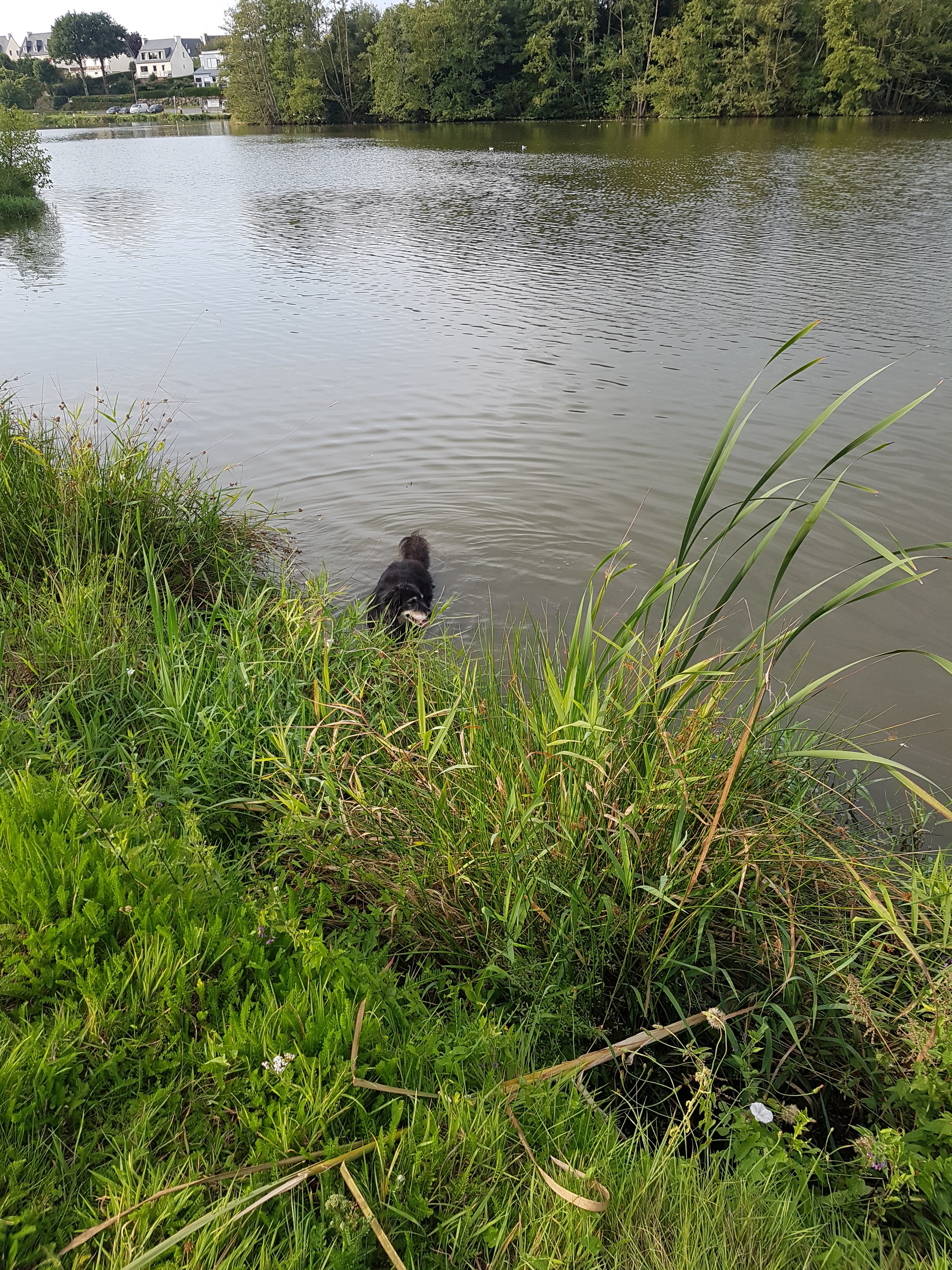 Photo n° 14 de l'avis de Dan. fait le 09/09/2017 à 14:11