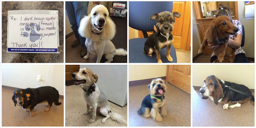 Yerkey Veterinary Services