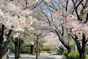 Kami-Ikebukuro Sakura Park image
