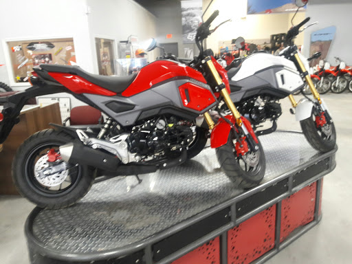 Motorcycle Dealer «Gables Motorsports of Wesley Chapel», reviews and photos, 28009 Wesley Chapel Blvd, Wesley Chapel, FL 33543, USA