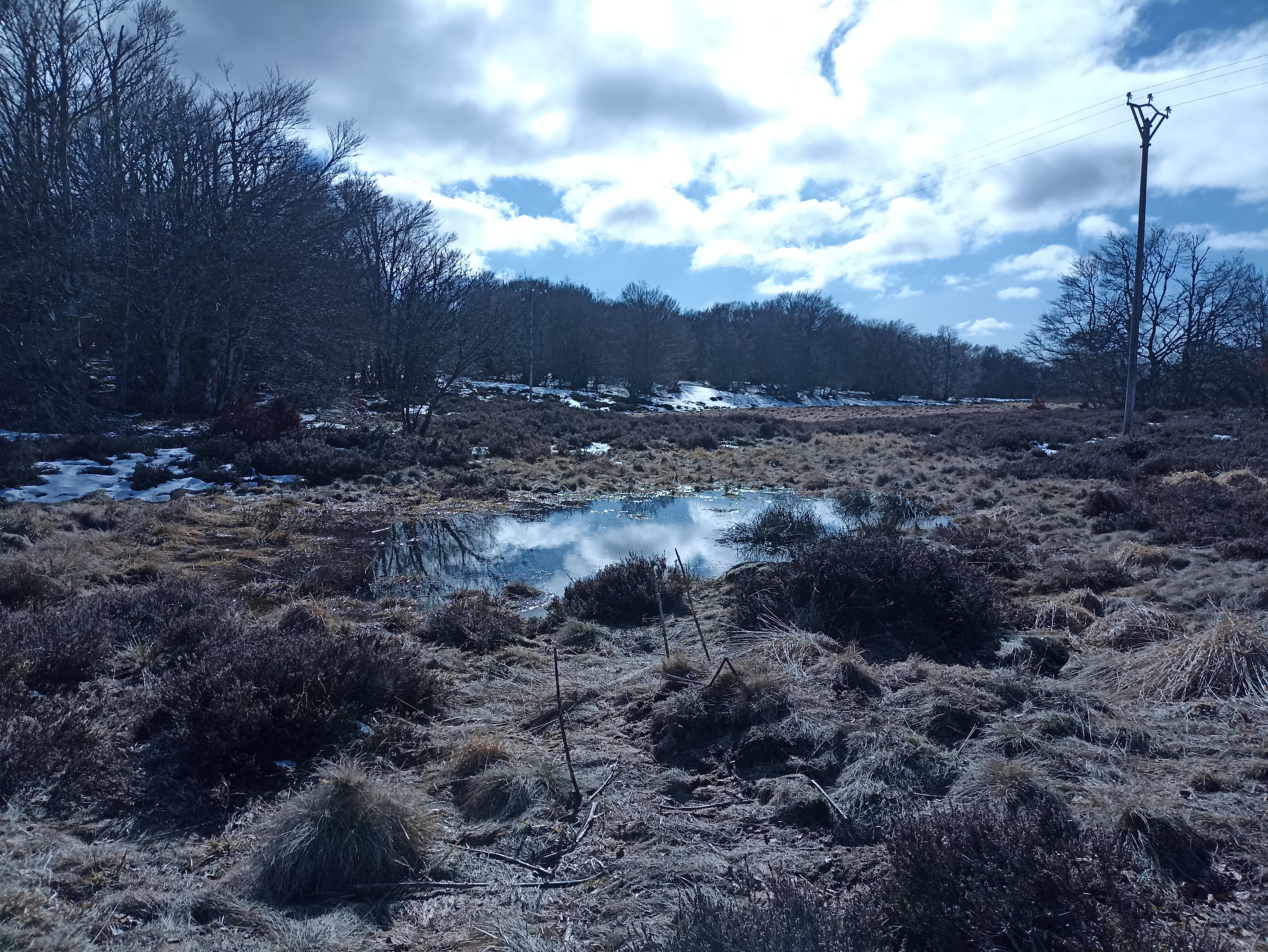 Photo n° 2 de l'avis de Yanick.e fait le 24/02/2022 à 11:42