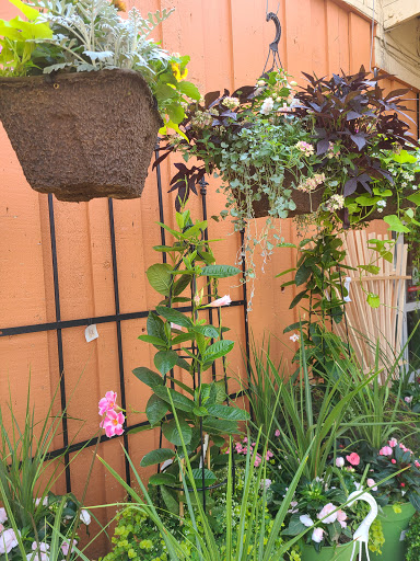 Garden Center «Flowerland», reviews and photos, 4321 28th St SE, Kentwood, MI 49508, USA