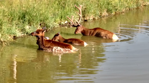 Park «Jester Park», reviews and photos, 11407 Northwest Jester Park Drive, Granger, IA 50109, USA