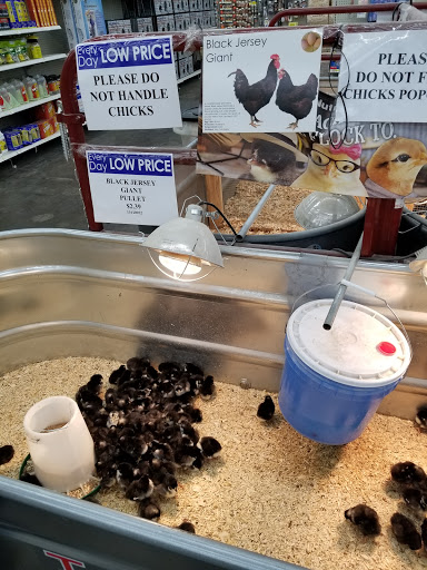 Department Store «Rural King», reviews and photos, 2947 S Washington St, Kokomo, IN 46902, USA