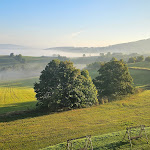 Photo n°11 de l'avis de Thomas. fait le 01/10/2023 à 05:53 sur le  Panorama Berghotel Wettiner Höhe à Seiffen