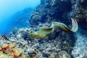 Aqaba Moon Diver image