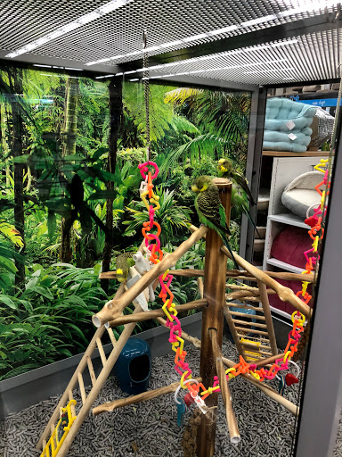 Pet Supply Store «Petco Animal Supplies», reviews and photos, 3194 FM407, Highland Village, TX 75077, USA