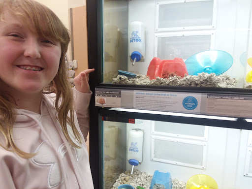 Pet Supply Store «Petco Animal Supplies», reviews and photos, 35860 Chester Rd, Avon, OH 44011, USA