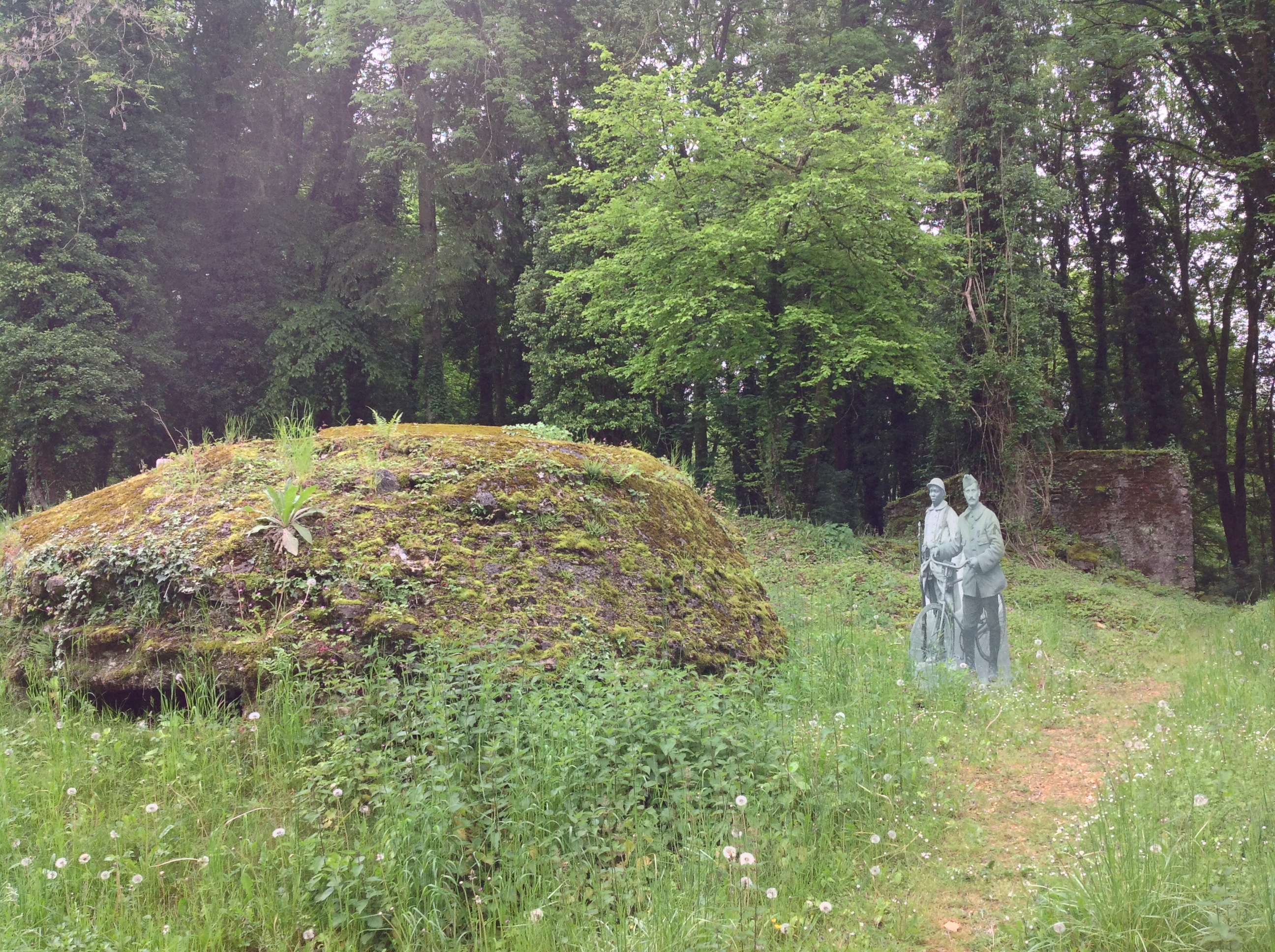 Photo n° 15 de l'avis de David.O fait le 21/05/2019 à 21:29
