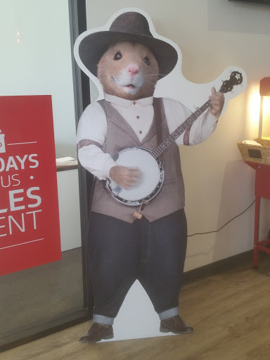 Car Dealer «Kia Mall of Georgia», reviews and photos, 4180 Buford Dr NE, Buford, GA 30519, USA