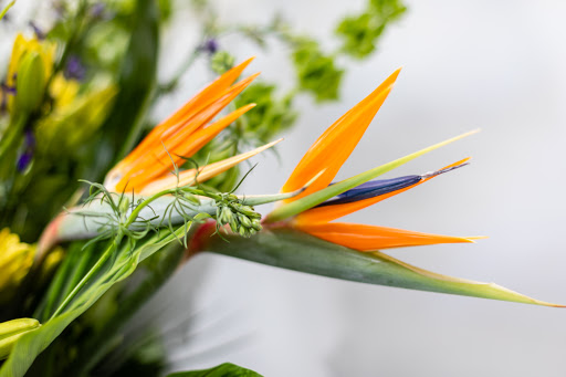 Florist «Buckhead Florist», reviews and photos, 3333 Peachtree Rd NE #100, Atlanta, GA 30326, USA