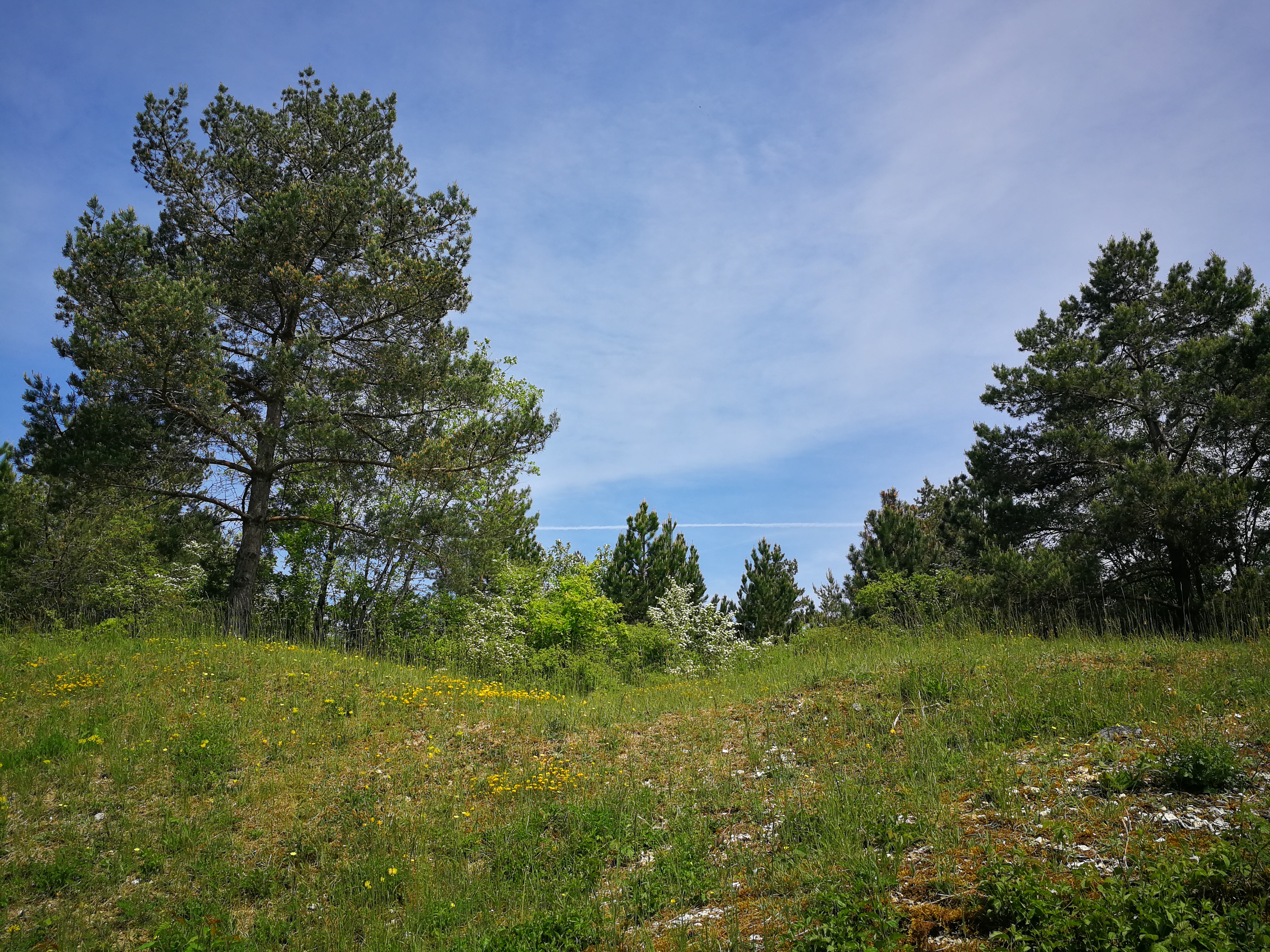 Photo n° 1 de l'avis de Audrey. fait le 12/05/2018 à 19:44