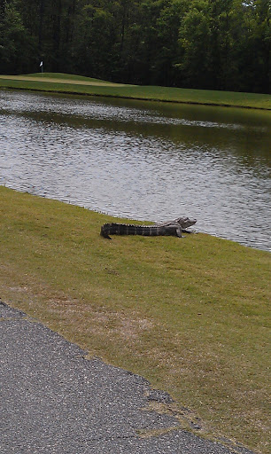 Golf Course «International Club of Myrtle Beach», reviews and photos, 1560 International Club Blvd, Murrells Inlet, SC 29576, USA