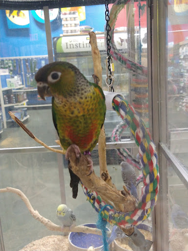 Pet Supply Store «Pet Supermarket, Inc.», reviews and photos, 244 Tunnel Rd, Asheville, NC 28805, USA