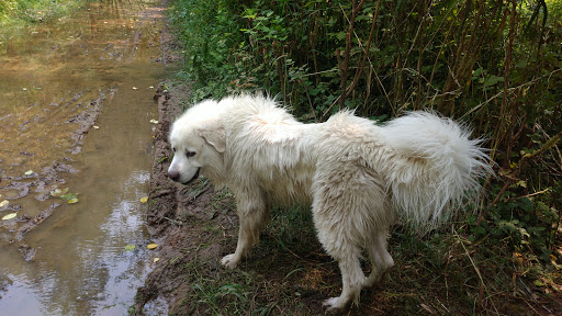 Pet Store «Petsense Aberdeen», reviews and photos, 1143 E Wishkah St, Aberdeen, WA 98520, USA