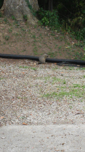 Garden Center «Frank Otte Nursery & Garden», reviews and photos, 7505 River Rd, Prospect, KY 40059, USA