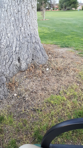 Golf Club «Paso Robles Golf Club», reviews and photos, 1600 Country Club Dr, Paso Robles, CA 93446, USA