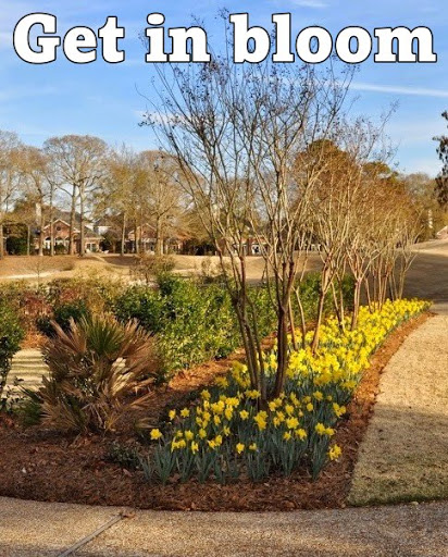 Landscaper «Native Landscapes Inc», reviews and photos, 3914 Evergreen Dr, Wilmington, NC 28403, USA