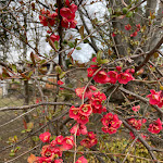 Photo n°12 de l'avis de Franco.a fait le 27/03/2022 à 12:32 sur le  Locanda del Crò à Crò