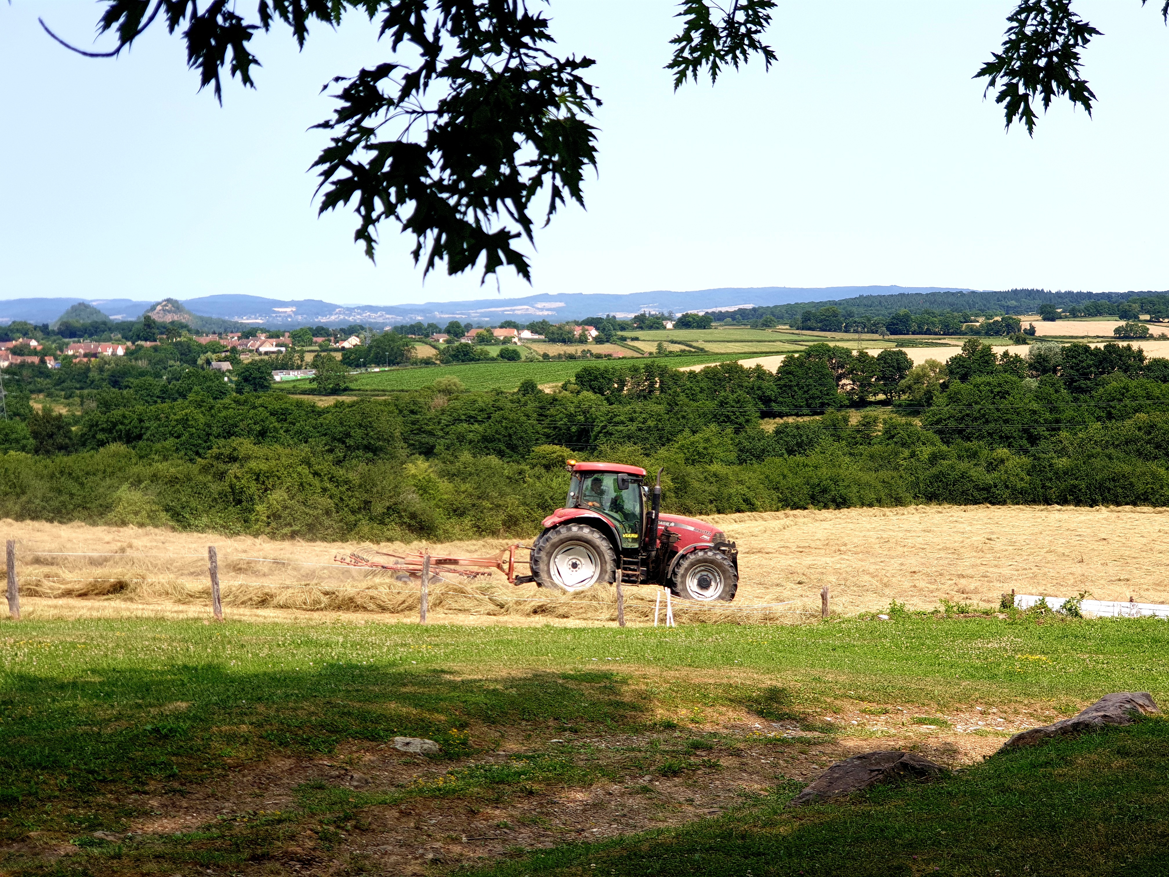 Photo n° 4 de l'avis de Jean-Marc.d fait le 15/08/2021 à 15:47